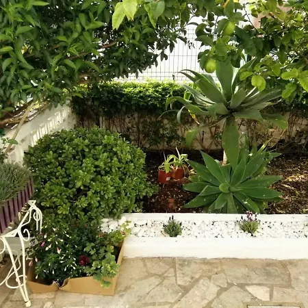 Casa Do Amor *